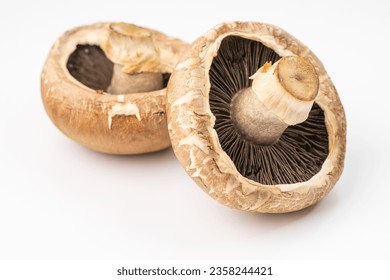 portobello mushroom on white background - Powered by Shutterstock