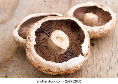 Portobello Mushrooms