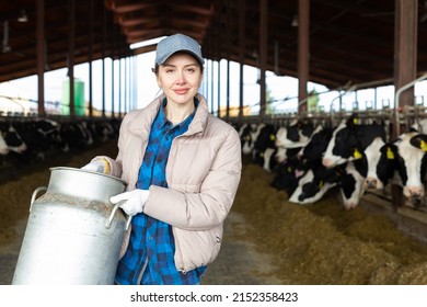 Portraif Of Young Caucasian Woman Dairy Farm Worker Carrying Metal Milk Can In Cowshed..