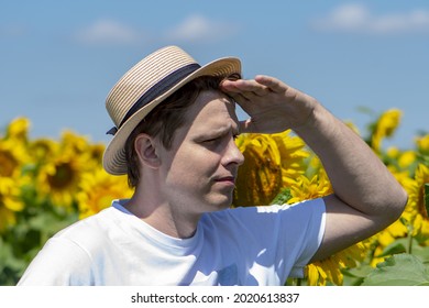 Portrait Of A 25-30 Year Old Man In A Straw Hat Looking Into The Distance Against A Background Of Sunflowers.