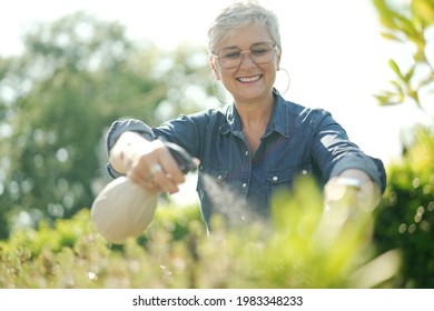 Portrait Of A 55 Year Old Senior Woman Watering Plants In Her Garden