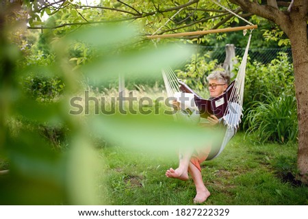 Similar – old swing on the playground on the street