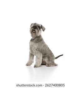 Retrato perro adorable 
