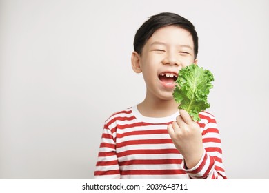 Portrait Of An Adorable Healthy Asian Boy In Stripe T-shirt Happy Laughing With Fresh Green Kale Leaf In His Hand. Kids Love Veggies Concept. 7-8 Years Old, Teeth, Calcium, Vegan, Vitamins, Copy Space