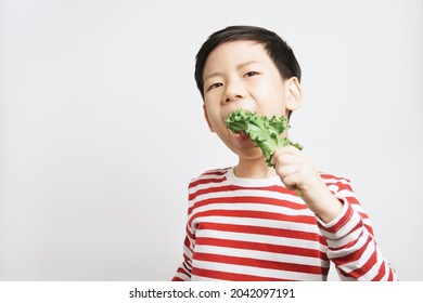 Portrait Of An Adorable Healthy Asian Boy In Stripe T-shirt Happy Eating Fresh Green Kale Leafs In His Hand. Kids Love Veggies Concept. 7-8 Years Old, Teeth, Calcium, Vegan, Vitamins, Copy Space