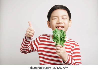 Portrait Of An Adorable Healthy Asian Boy In Stripe T-shirt Happy Laughing With Fresh Green Kale Leaf In His Hand. Kids Love Veggies Concept. 7-8 Years Old, Teeth, Calcium, Vegan, Vitamins, Thumbs Up.