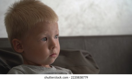 Portrait of adorable young boy watching television at evening in the living room. Portrait little kid while watching TV. - Shutterstock ID 2220838779