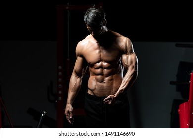 Portrait Of A Adult Physically Fit Man Showing His Well Trained Body - Muscular Athletic Bodybuilder Fitness Model Posing After Exercises