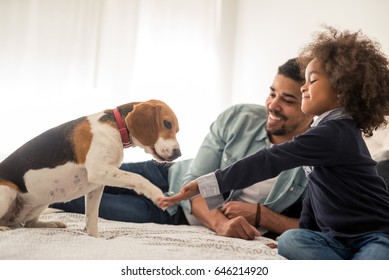 Portrait of an african american father and daughter enjoying spending time with dog in the bed. - Powered by Shutterstock