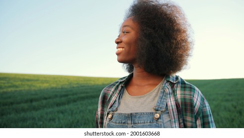 Portrait Of African American Female Farmer Walking Through The Large Green Multi-colored Rural Field. Domestic Agribusiness And Organic Farming Concept