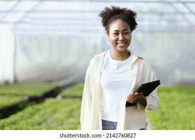 Portrait Of African American Female Farmer Walking Through The Large Green Multi-colored Rural Field. Domestic Agribusiness And Organic Farming Concept