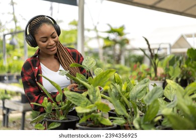 Portrait african american small business gardener woman looking at young plant gardening with potted plants taking care small tree, startup, flower care in greenhouse at garden shop - Shutterstock ID 2394356925