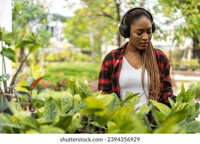Portrait african american small business gardener woman looking at young plant gardening with potted plants taking care small tree, startup, flower care in greenhouse at garden shop - Shutterstock ID 2394356929