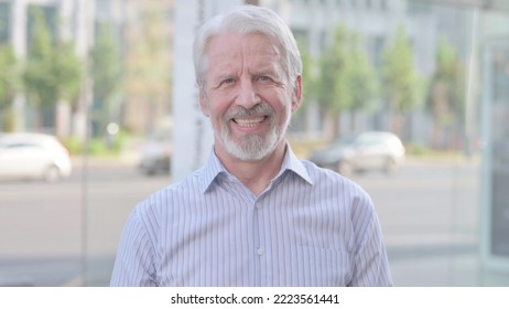 Portrait of Agree Old Man Shaking Head in Approval Outdoor - Shutterstock ID 2223561441