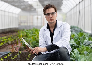 Portrait Agriculture Scientist Man Working Plant Research In Bio Farm Laboratory.biologist Study Collecting Data With Laptop Computer.