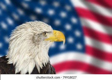 1,081 Bald Eagle American Flag Wings Images, Stock Photos & Vectors 