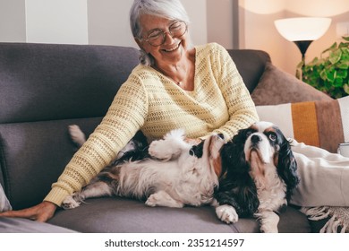 Portrait of amused senior woman relaxed on home sofa with her two cavalier king Charles spaniel dogs. Elderly lady enjoying retirement and best friends concept - Powered by Shutterstock