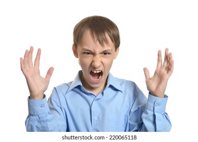 Portrait Angry Little Boy On White Stock Photo 220065118 