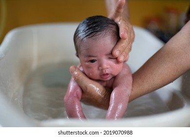 Portrait of asian adorable new born baby taking hygiene bath on the bathtub.Selective focus on baby. - Shutterstock ID 2019070988