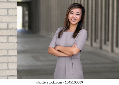 Portrait Of An Asian American Female Law Attorney, Business Representative, Legal Representative,  Lawyer