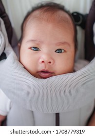 Portrait Of An Asian Baby Girl In Baby Carrier.