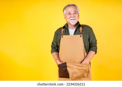 portrait of asian elder man has a white mustache and beard wearing apron with copy space . - Shutterstock ID 2234326211