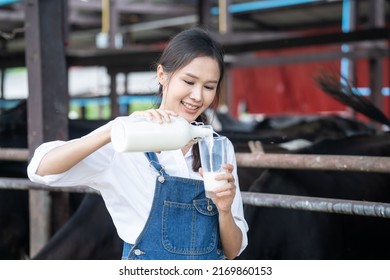 Portrait Of Asian Female Dairy Farmer Hold Bottle Of Milk In Cowshed. Attactive You Woman Agricultural Farmer Drink Pasteurized Milk After Milking The Cow With Happiness At Livestock Farm Industry.