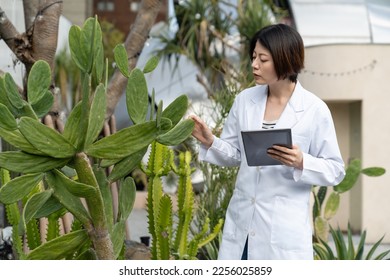 portrait of asian korean female ecologist looking at thick leaves of succulents while doing research with electronic pad in tropical greenhouse - Powered by Shutterstock