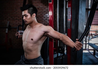 Muscle Asia Man Stock Photos, Images u0026 Photography  Shutterstock