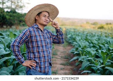 Portrait Of Asian Man Farmer Is At Garden, Wears Hat And Plaid Shirt, Thinking Something At Garden, Feels Serious. Concept : Farmer Think And Plan About Agriculture. Agricultural Occupation.          