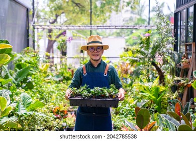 Portrait of Asian man gardener holding and caring potted plants in greenhouse garden. Male plant shop owner working with houseplants in store. Small business entrepreneur and plant caring concept - Powered by Shutterstock