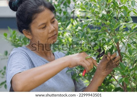 Portrait Asian middle-aged woman is using pruning shears to trim leaves and take care of plants in her backyard. It is a time spent on holidays that are happy with nature. After working hard all week