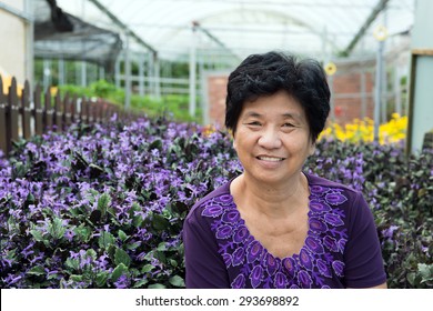 Portrait Of Asian Senior Citizen Smiling At Lavender Garden