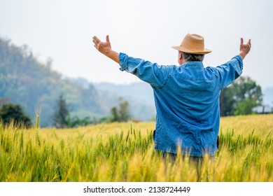 Portrait Of Asian Senior Man Farmer Working In Rice Paddy Wheat Field With Happiness And Pride. Elderly Male Farm Owner Preparing Harvest Organic Wheat Crop Plant. Agriculture Product Industry Concept