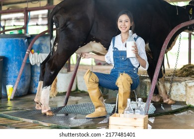 Portrait Of Asian Woman Dairy Farmer Holding Bottle Of Milk In Cowshed. Attractive Beautiful Female Agricultural Smile And Look At Camera After Milking Cow With Feel Proud At Livestock Farm Industry.