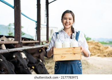 Portrait Of Asian Woman Dairy Farmer Holding Bottle Of Milk In Cowshed. Young Beautiful Female Agricultural Farmer Smile And Look At Camera After Milking Cow With Happiness At Livestock Farm Industry.