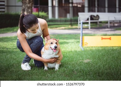 Portrait Of Asian Woman With Dog Welsh Corgi Pembroke In Dog Park, People With Pet Concept