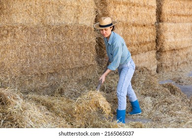 Portrait Of Asian Woman Farm Employee In Straw Hat Working On Hayloft At Cow Farm