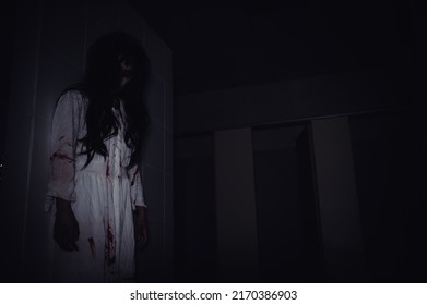 Portrait Asian Woman Make Ghostscary Horror Stock Photo 2170386903 ...