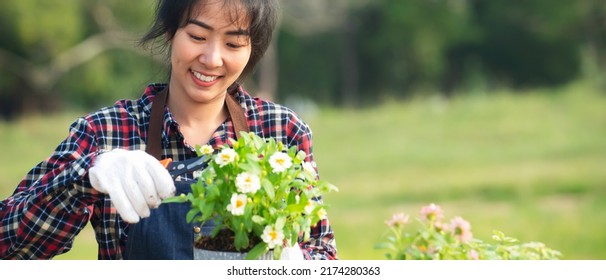 Portrait Of Asian Woman Wearing Gloves  Cut  Flowers At Outdoor.Happy Gardener Woman Planting Flowers In Morning At Garden.Hobby Lifestyle Concept,Banner For Text

