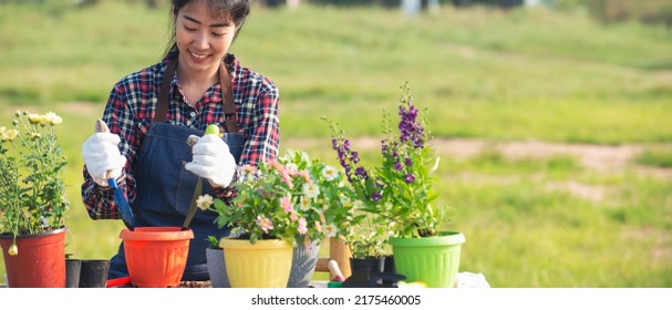 Portrait Of Asian Woman Wearing Gloves Prepare Soil For Plant Flower Outdoor.Happy Gardener Woman Planting Flowers In Morning At Garden.Hobby Lifestyle Concept,Banner For Text
