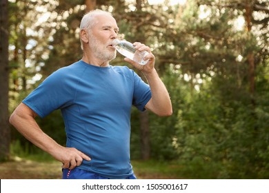 Portrait Of Attractive Active Male Pensioner With Bald Head And Stubble Refreshing Himself After Jogging Outdoors, Standing Against Pine Forest Background, Holding Bottle Of Drinking Water