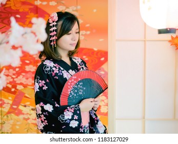 Traditional Japanese Sliding Door Stock Photos Images