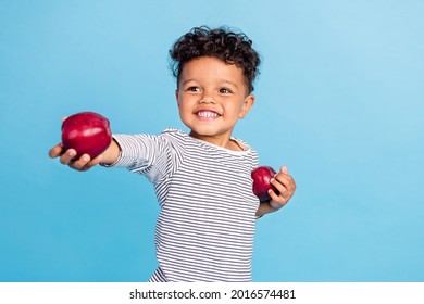 Portrait Of Attractive Cheerful Boy Giving You Fresh Apple Share Isolated Over Vibrant Blue Color Background