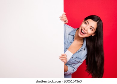 Portrait of attractive cheerful curious girl holding big blank poster ad promo isolated over bright red color background