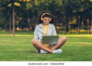 Portrait of attractive cheerful focused girl sitting on grass using laptop playing web game spending free time outdoor