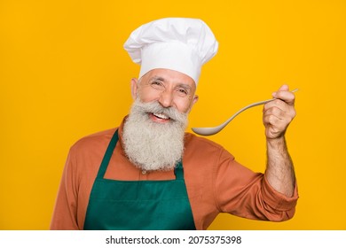 Retrato de un alegre y alegre hombre de pelo gris chef preparando comida rápida servicio de comida aislado en un fondo de color amarillo brillante