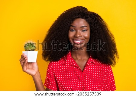 Portrait of attractive cheerful girl holding in hand natural cactus plant isolated over bright yellow color background
