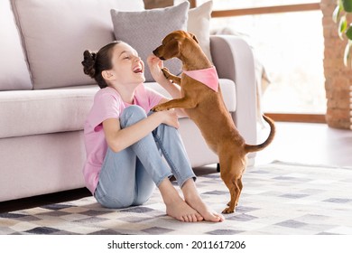 Portrait of attractive cheerful girl sitting on floor playing with puppy having fun rest at home house flat indoors - Powered by Shutterstock