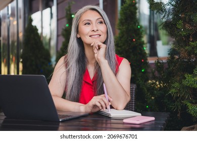 Portrait of attractive dreamy cheerful grey-haired woman using laptop fantasizing realestate agent broker outdoors